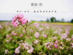 -苏州湾体育公园
