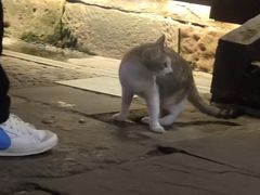 -重庆十八梯传统风貌区