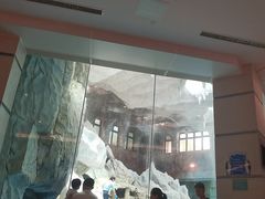 -帝企鹅自助餐厅•儿童岛•真企鹅(长隆企鹅酒店)