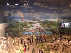 iphone_upload_pic-自贡恐龙博物馆