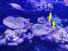 -北海海底世界