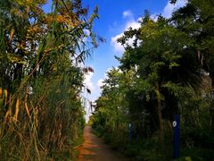 -白鹭湾湿地公园