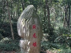 -上海佘山国家森林公园天马山园