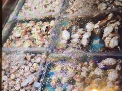 -萧邦音乐会所KTV·蒸汽活海鲜自助(福田店)