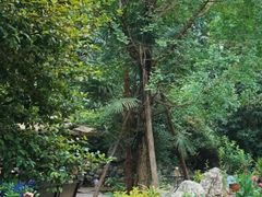 -鱼凫人家
