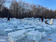 -长春市南湖公园