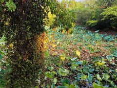 -嬉子湖生态旅游区