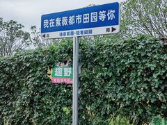 -武汉紫薇都市田园