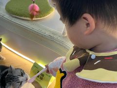 -COLOR PETS 撸猫馆·购猫·猫咖(长风大悦城店)