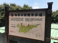 -仙岳公园