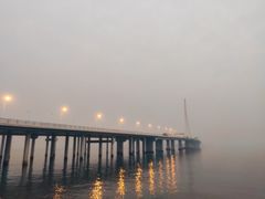 -深圳湾公园(南山区)