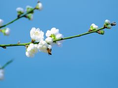 -西湖公园(鼓楼区)