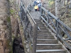-汤旺河林海奇石景区