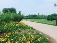 -永定河休闲森林公园