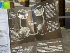 -怀托摩萤火虫洞