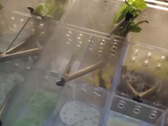 -火炉火自助餐(枫蓝国际店)