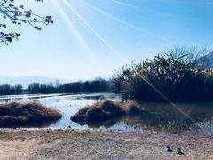 -西昌邛海湿地