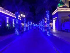 -三亚海昌梦幻海洋不夜城