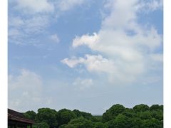 -荷塘月色湿地公园·向阳花洲