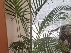 -沐森 •疗愈头疗馆(打浦桥店)