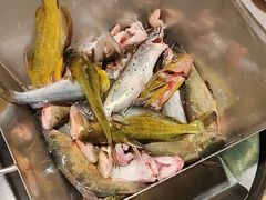 -米氏火鱼·泡椒鱼火锅(李子坝老店)
