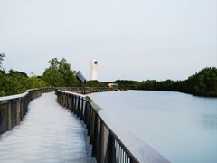 -东寨港红树林旅游区