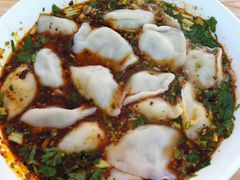 小茴香牛肉饺子-尤素福东举院饺子馆