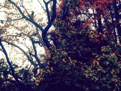 -上海市龙华烈士陵园