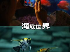 -西安曲江海洋极地公园