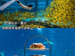 -三亚海昌梦幻海洋不夜城