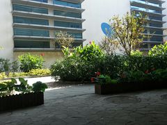 -南宫温泉水世界