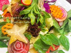 田园拌菜-燕春楼(海河华鼎店)