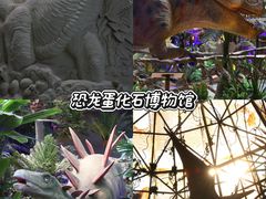 -中国西峡恐龙遗迹园