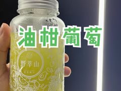 -野萃山·潮汕厚果汁(十亩地店)