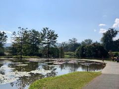 -中国科学院西双版纳热带植物园