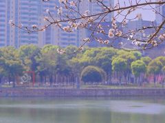-西北湖绿化广场