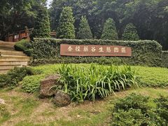 -石排湾郊野公园