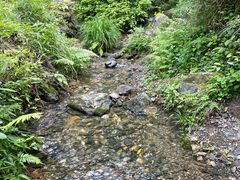 -石台牯牛降景区