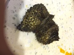 大龙火锅-大龙火锅(老店)