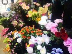 -ChaKo Flora ·茶子花艺 (市北店)