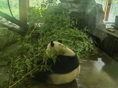 -云南野生动物园