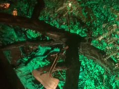 -LAMP BAR 水烟音乐酒吧