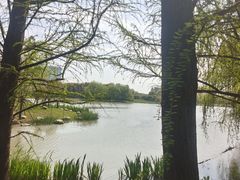 -澹台湖公园