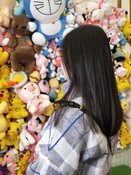 -YESIDO椰岛造型