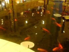 android_upload_pic-碧中海汤泉汗蒸酒店