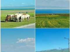 -青海湖国家重点风景名胜区
