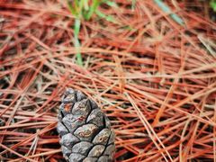-汉景帝阳陵博物院