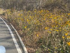 -道须沟旅游风景区