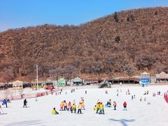 -东北亚滑雪场