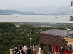 -盐洲岛